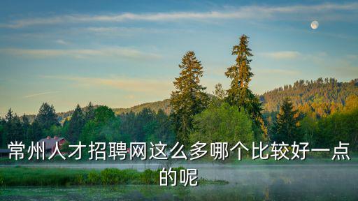 常州人才招聘網這么多哪個比較好一點的呢