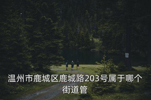 溫州市鹿城區鹿城路203號屬于哪個街道管