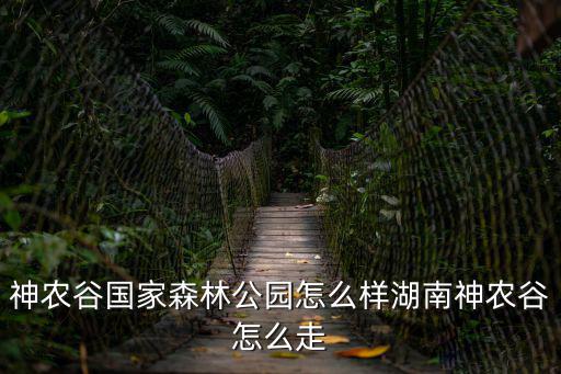 神農(nóng)谷國(guó)家森林公園，神農(nóng)谷國(guó)家森林公園開門時(shí)間炎陵神龍谷可以玩幾天