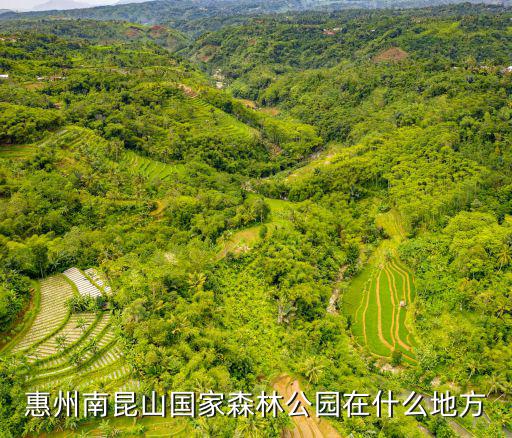 南昆山森林公園，由廣州市區至南昆山森林公園的乘車路線