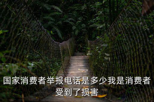 國家消費者舉報電話是多少我是消費者受到了損害