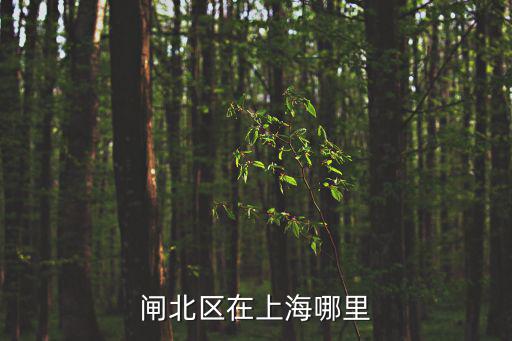 閘北區在上海哪里