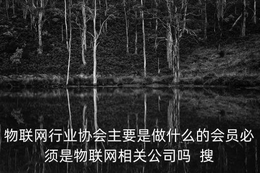 物聯(lián)網(wǎng)行業(yè)協(xié)會主要是做什么的會員必須是物聯(lián)網(wǎng)相關(guān)公司嗎  搜