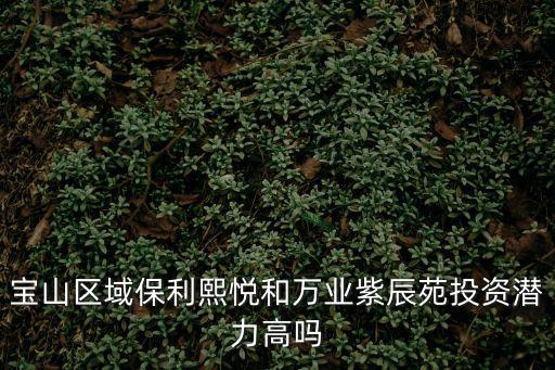 寶山區域保利熙悅和萬業紫辰苑投資潛力高嗎