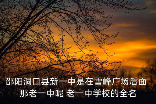 邵陽洞口縣新一中是在雪峰廣場后面 那老一中呢 老一中學校的全名