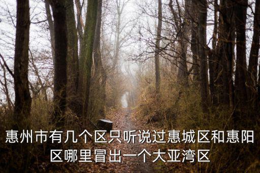 惠州市有幾個區只聽說過惠城區和惠陽區哪里冒出一個大亞灣區