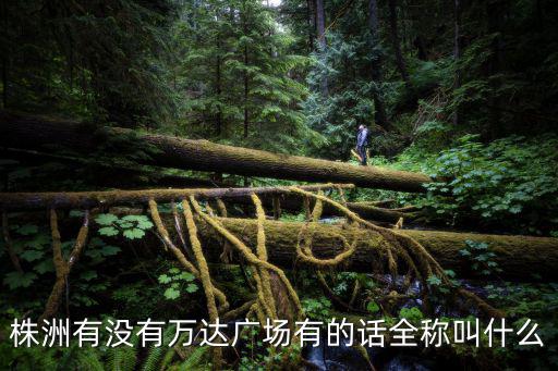 株洲有沒有萬達廣場有的話全稱叫什么