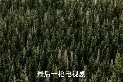 最后一槍電視劇