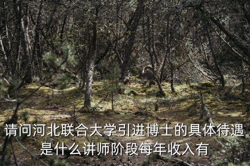 請(qǐng)問(wèn)河北聯(lián)合大學(xué)引進(jìn)博士的具體待遇是什么講師階段每年收入有