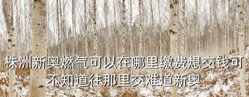 株洲新奧燃氣可以在哪里繳費想交錢可不知道往那里交難道新奧