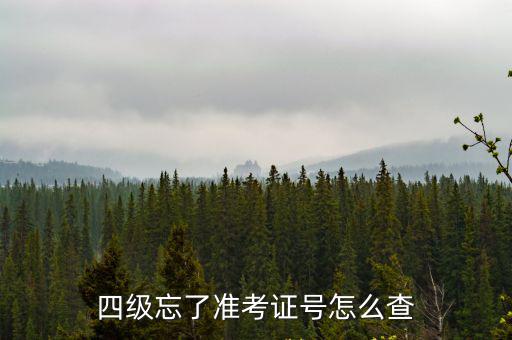 四級忘了準考證號怎么查