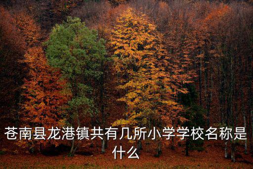 蒼南縣龍港鎮共有幾所小學學校名稱是什么