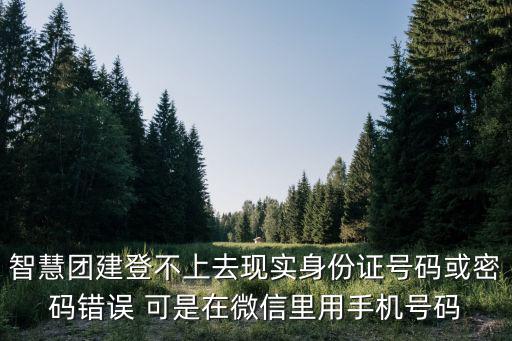 智慧團(tuán)建登不上去現(xiàn)實(shí)身份證號(hào)碼或密碼錯(cuò)誤 可是在微信里用手機(jī)號(hào)碼
