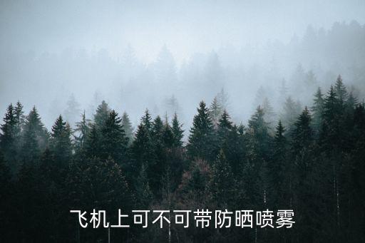 飛機上可不可帶防曬噴霧