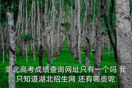 湖北招生考試信息網，湖北招生網每天什么時候更新錄取結果啊