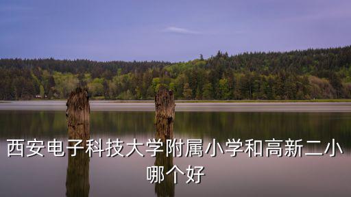 高新二小，西安電子科技大學附屬小學和高新二小哪個好