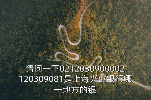 上海興業(yè)，上海興業(yè)銀行在靜安區(qū)愚園路246弄10號(hào)有支行嗎