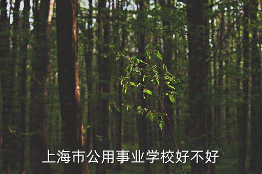 上海市公用事業學校好不好
