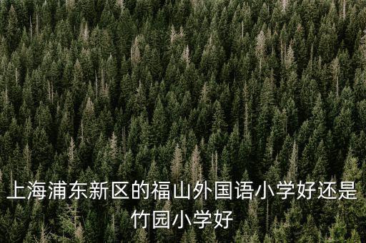 上海福山外國語小學，上海市福山外國語小學算重點小學嗎