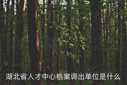 湖北省人才服務局，有哪些朋友能告訴我湖北省人才中心檔案托管中心在哪里具體地