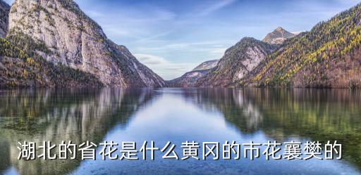 湖北的省花是什么黃岡的市花襄樊的