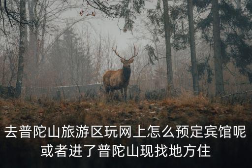 去普陀山旅游區玩網上怎么預定賓館呢或者進了普陀山現找地方住