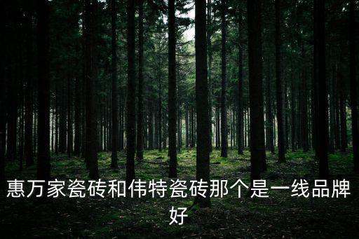 惠萬家瓷磚和偉特瓷磚那個是一線品牌好