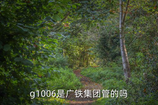 g1006，G1006終點站是到武漢哪個車站