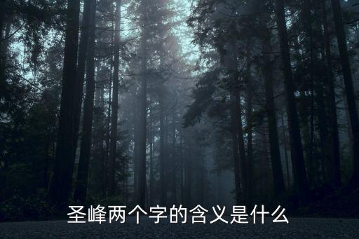 圣峰，圣峰品牌的logo里是什么A高山 B雪山
