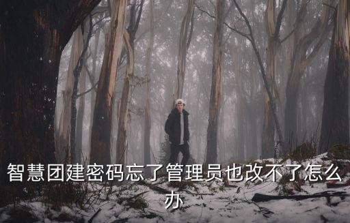 智慧團(tuán)建密碼忘了管理員也改不了怎么辦