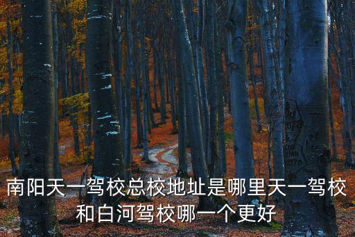 天一駕校，南陽天一駕校總校地址是哪里天一駕校和白河駕校哪一個更好