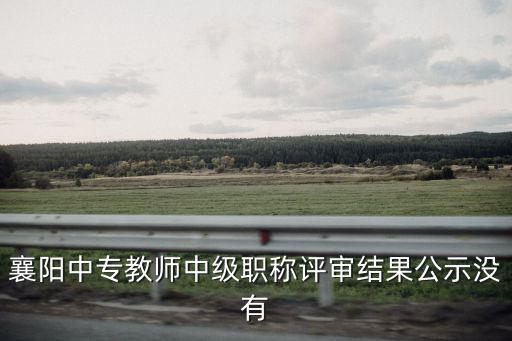 襄陽中專教師中級職稱評審結果公示沒有