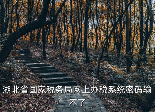 湖北稅務網上辦稅服務廳，登錄國稅網上辦稅服務廳的用戶名和密碼是什么