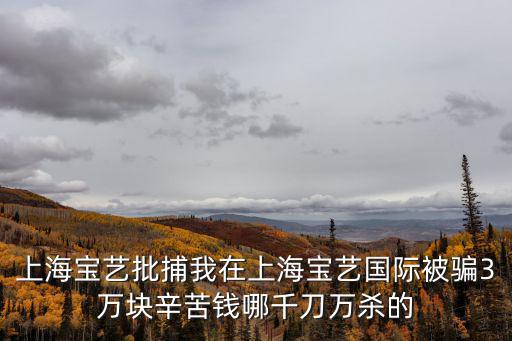 上海寶藝批捕我在上海寶藝國際被騙3萬塊辛苦錢哪千刀萬殺的