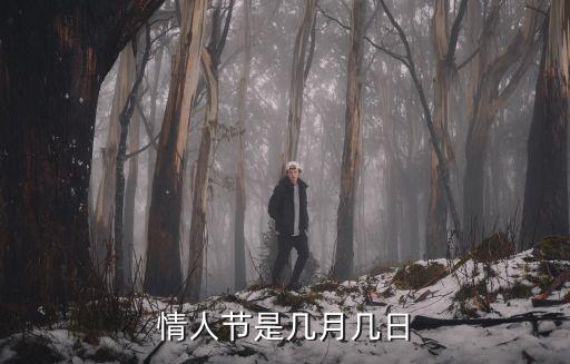 情人節是幾月幾日