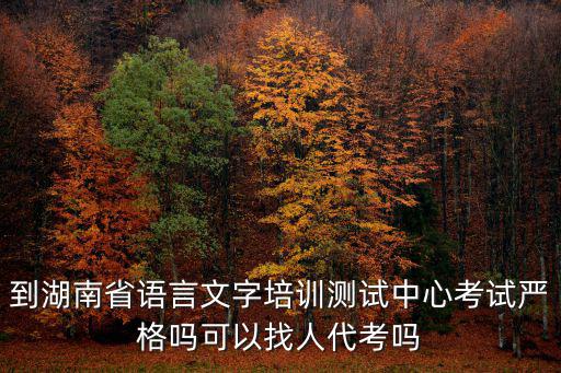 到湖南省語言文字培訓測試中心考試嚴格嗎可以找人代考嗎