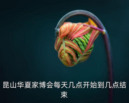 華夏家博會，求華夏家博會怎么樣