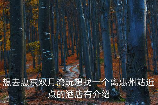 想去惠東雙月灣玩想找一個(gè)離惠州站近點(diǎn)的酒店有介紹