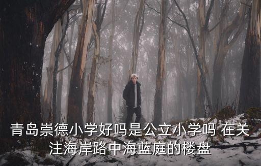 青島崇德小學好嗎是公立小學嗎 在關注海岸路中海藍庭的樓盤