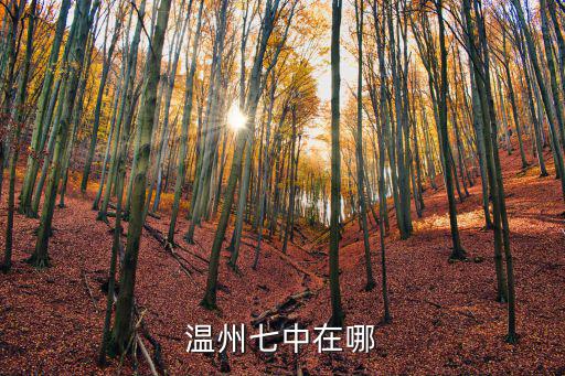 溫州七中在哪
