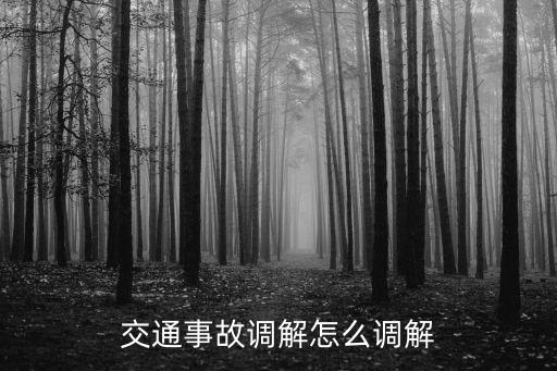 交通事故調解怎么調解