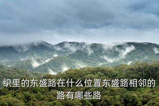 東盛路，織里的東盛路在什么位置東盛路相鄰的路有哪些路