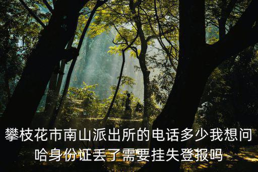 南山派出所，深圳市南山區南山醫院附近的派出所在哪里