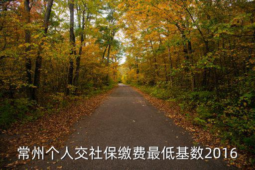 常州個人交社保繳費最低基數2016