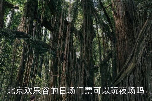 北京歡樂谷的日場門票可以玩夜場嗎