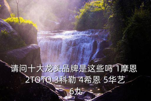 請(qǐng)問(wèn)十大龍頭品牌是這些嗎 1摩恩 2TOTO 3科勒 4希恩 5華藝 6九