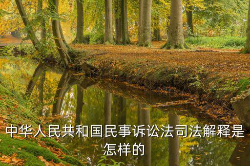 中華人民共和國(guó)民事訴訟法司法解釋是怎樣的