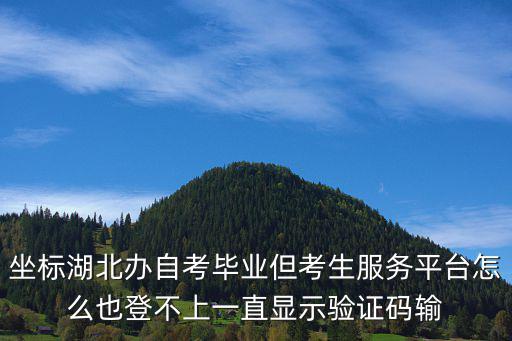 湖北考生服務平臺，為什么今天湖北考生服務平臺登錄不上