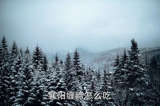 襄陽纏蹄怎么吃