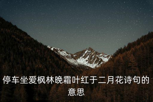 停車坐愛楓林晚霜葉紅于二月花詩句的意思